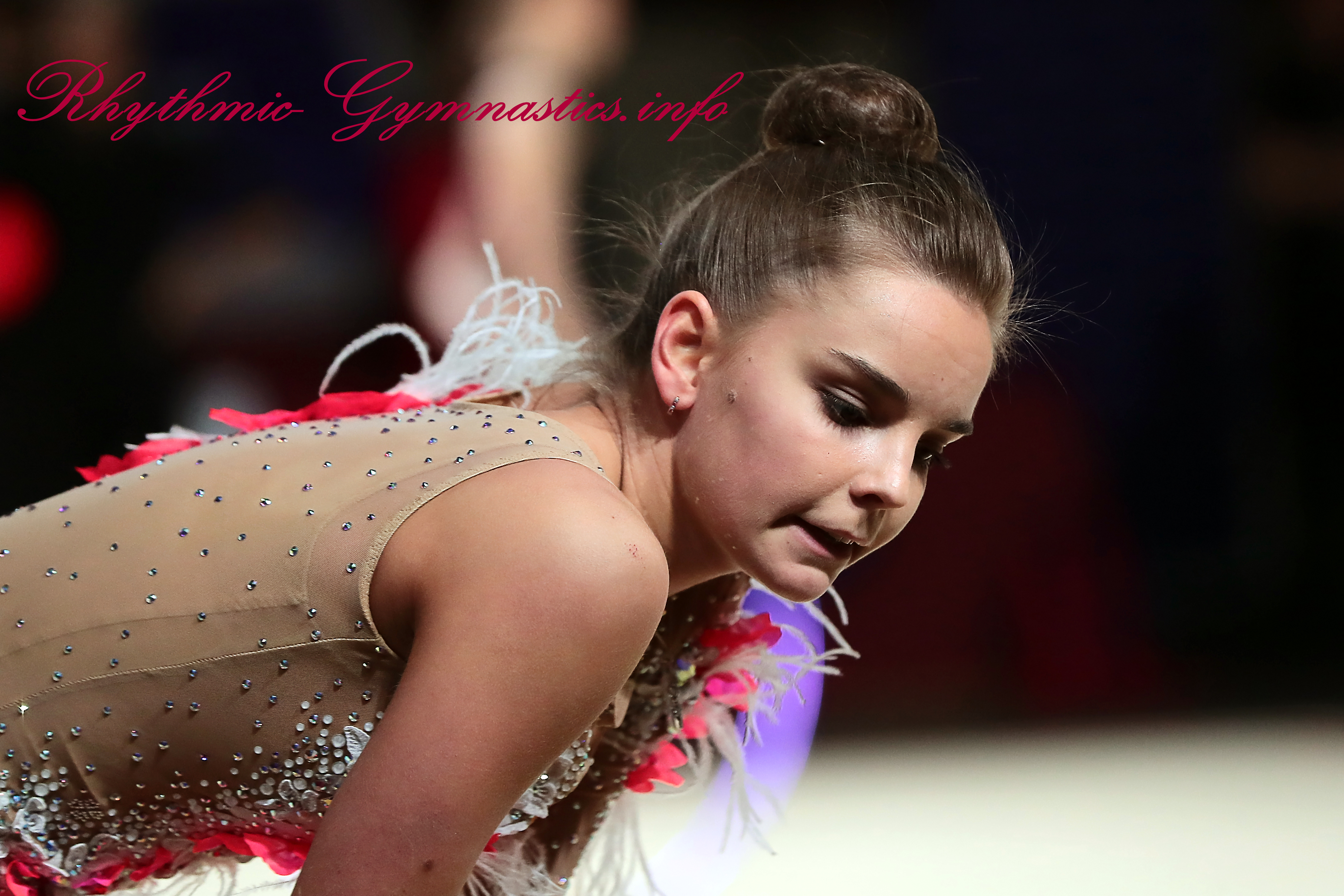AVERINA