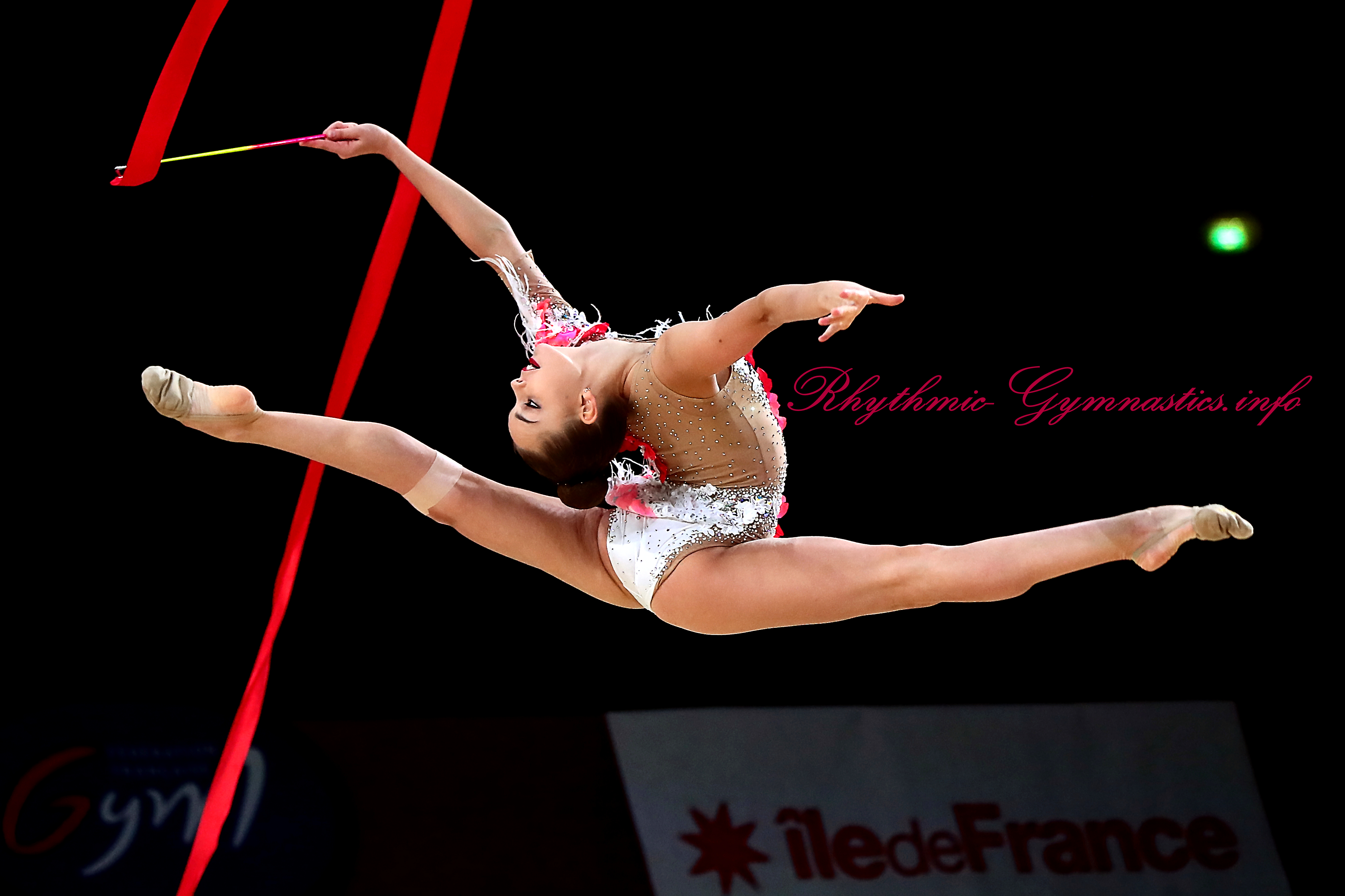 DINA AVERINA