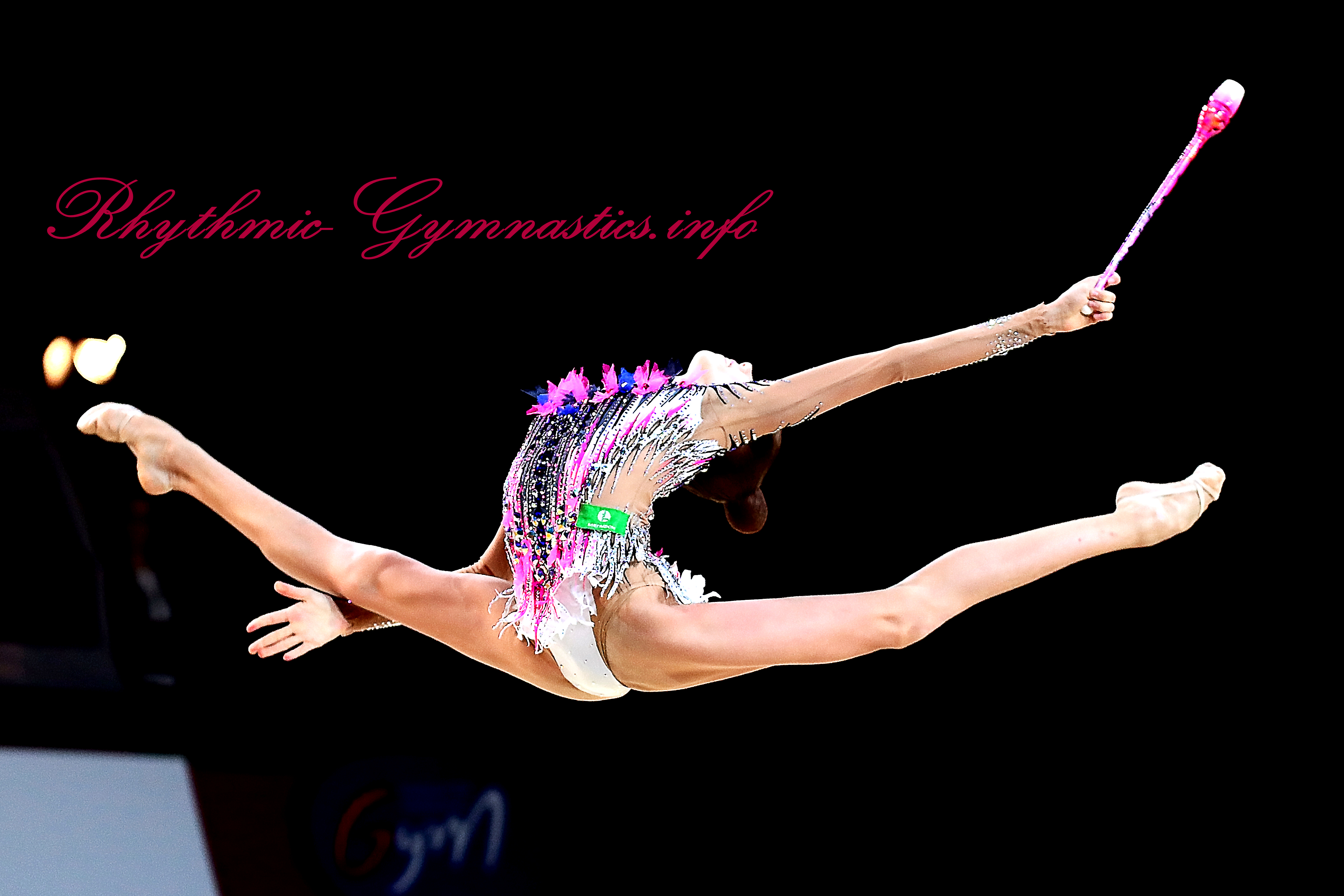 ANASTASIIA GUZENKOVA3